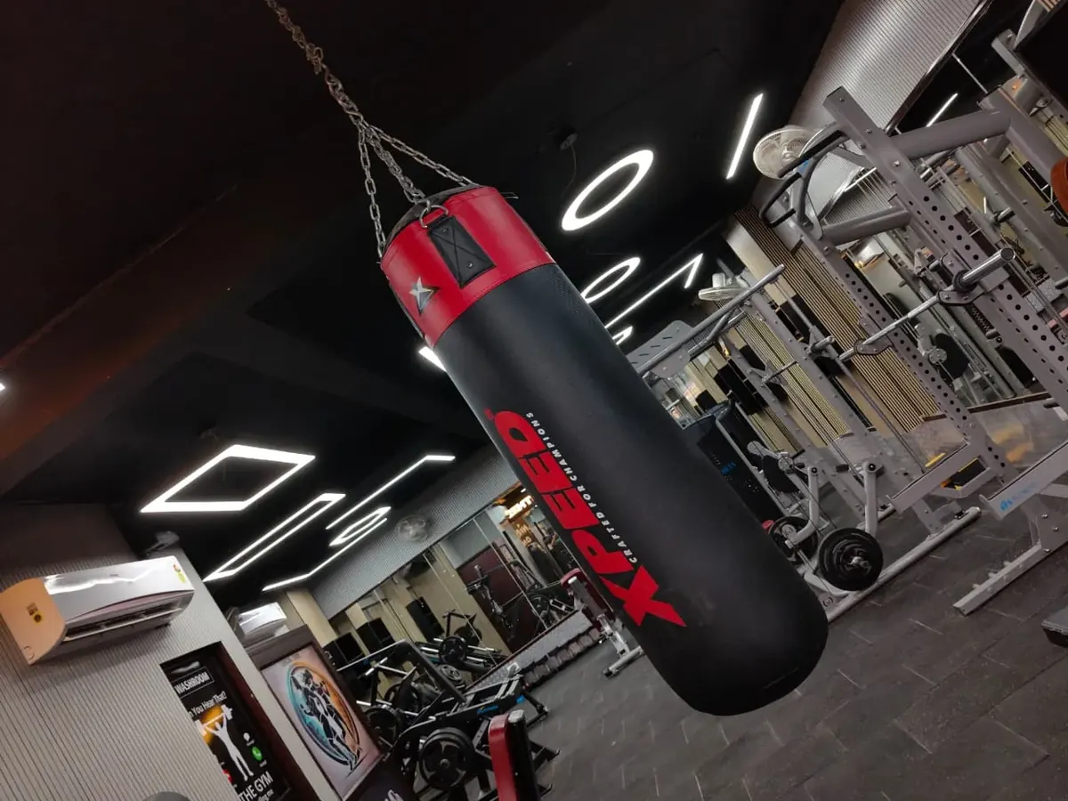 Boxing Bag at Fitness Factory Ghaziabad